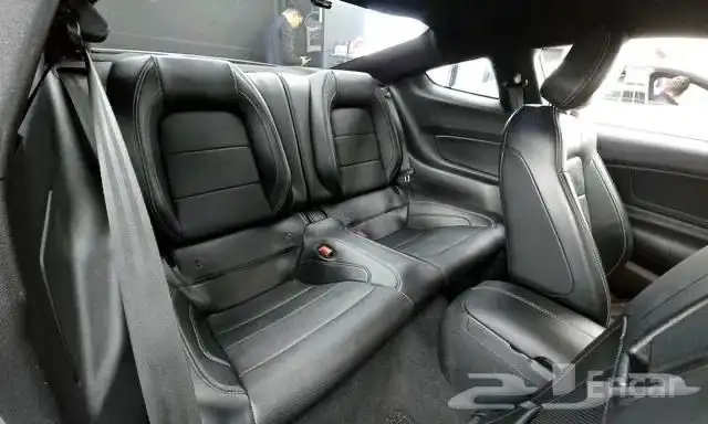 موستنج 5.0 GT كوبيه بروفورمنس 2021 9
