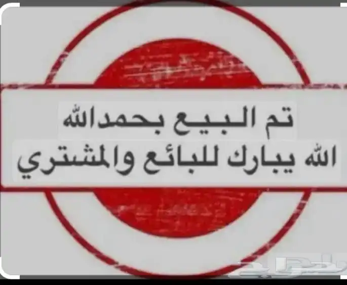 دجاج فيومي فضي المينيوم 0