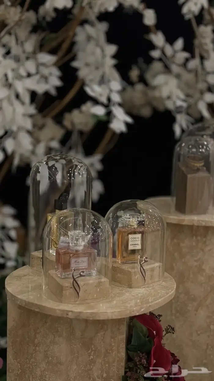 دزه شبكة الملكه للايجار 3