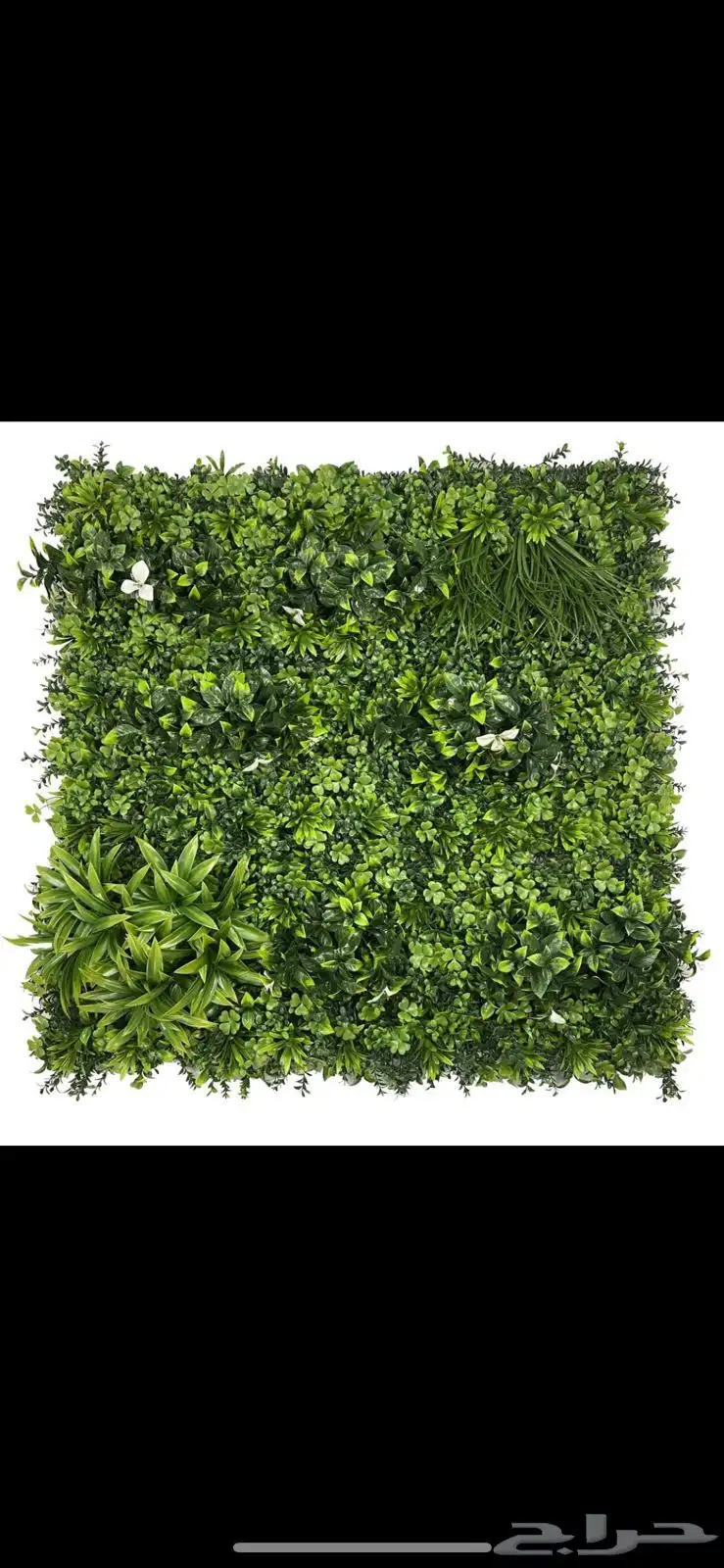 تنسيق الحدائق 4