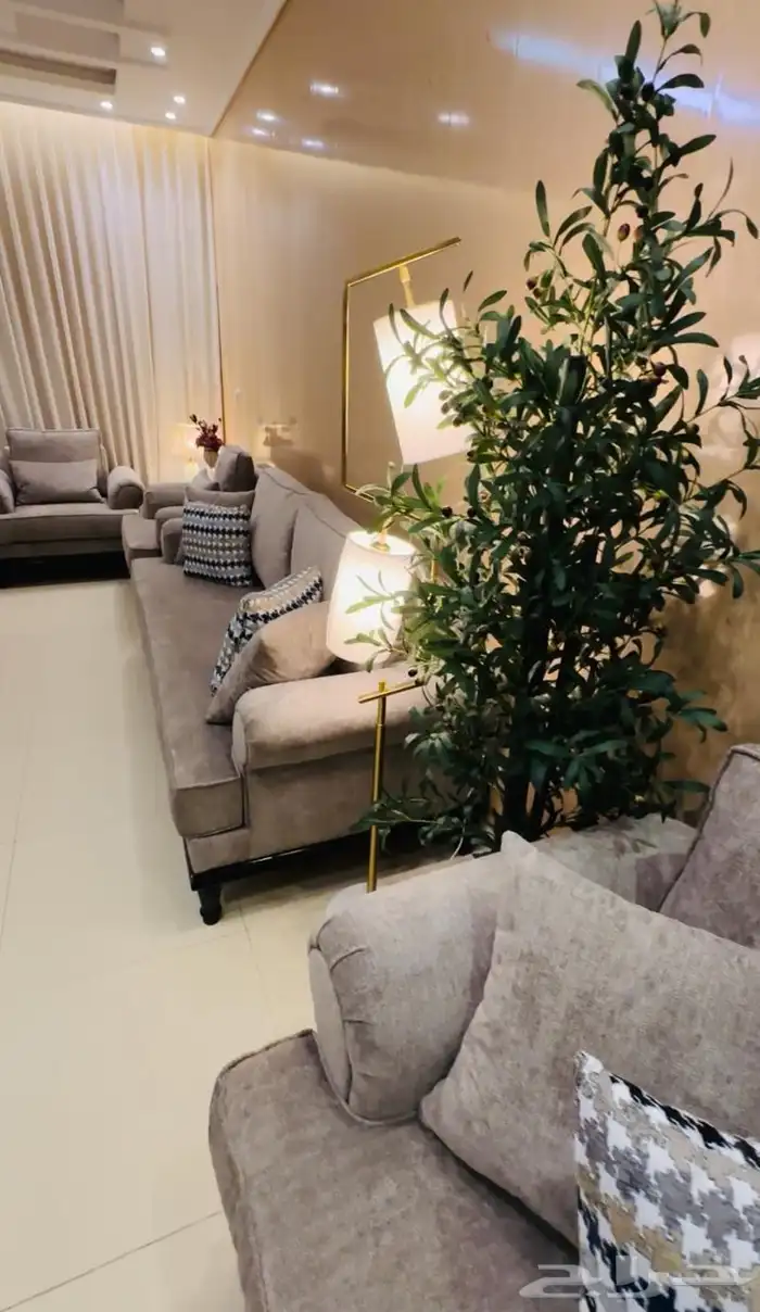 استراحه-شاليه-منتجع-ابها-السوده-نزل 26