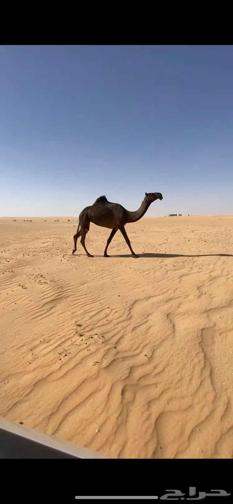بكره 0