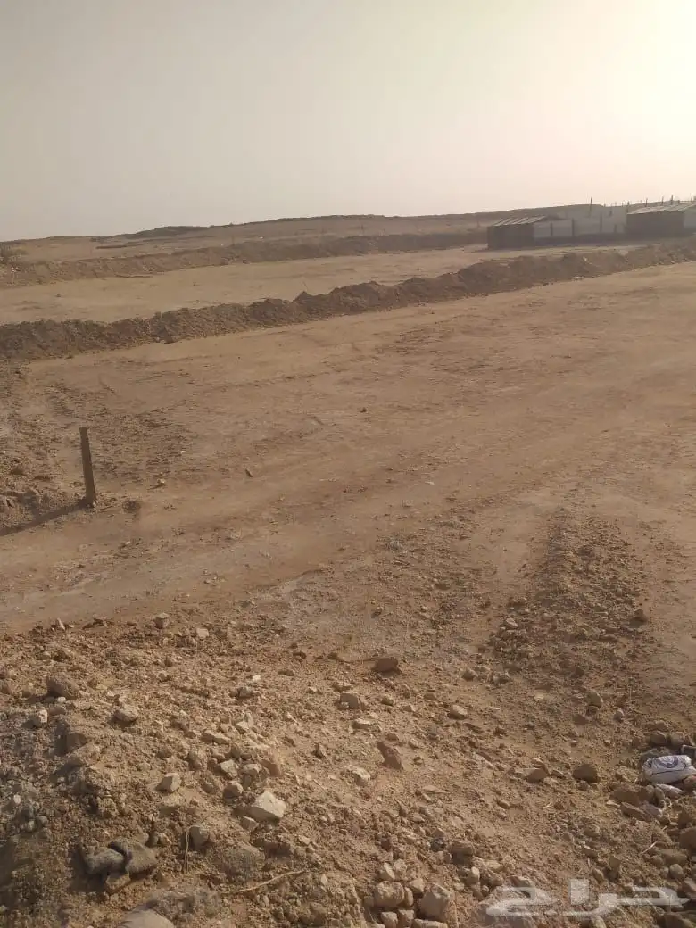مراح غنم مجهز بالكامل للبيع 1