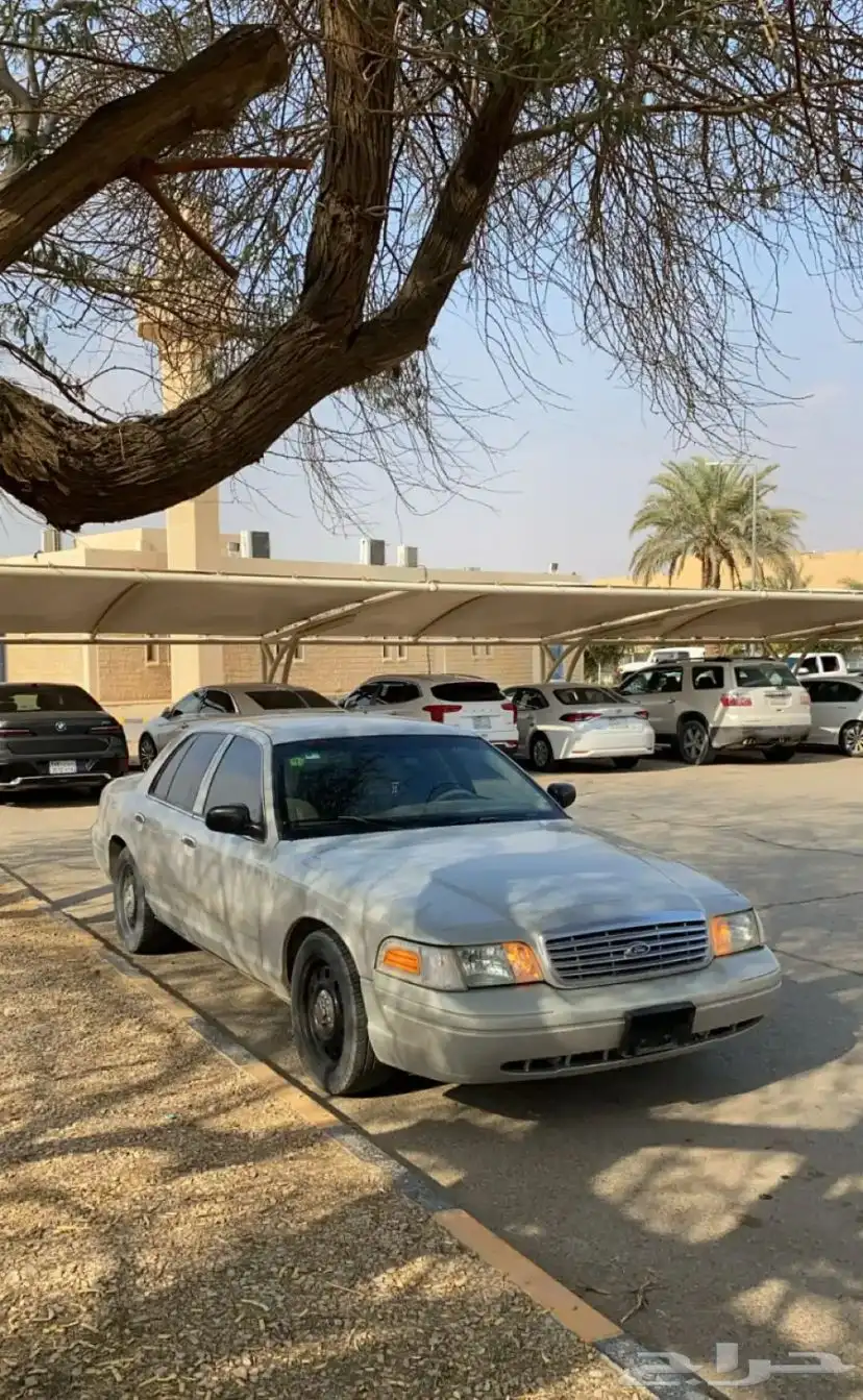 فورد 6