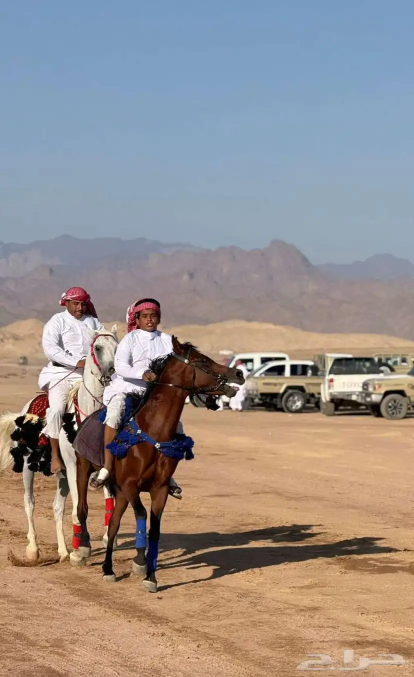 خيل 2