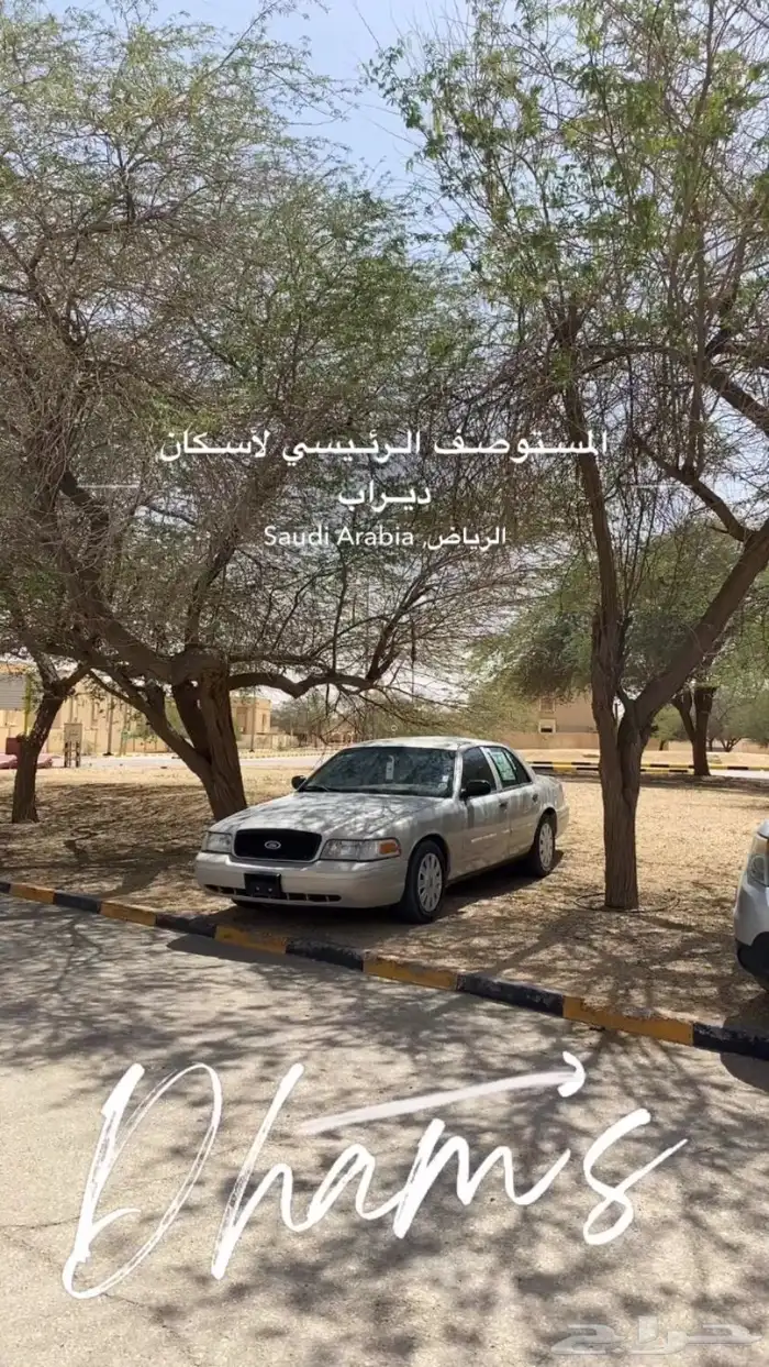 فورد 19