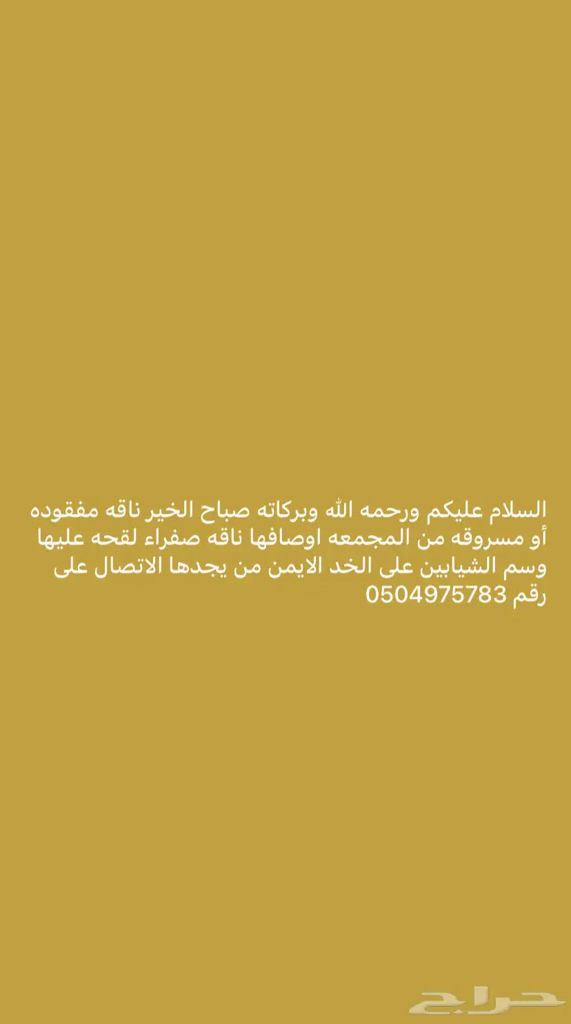 ناقه مفقوده 0