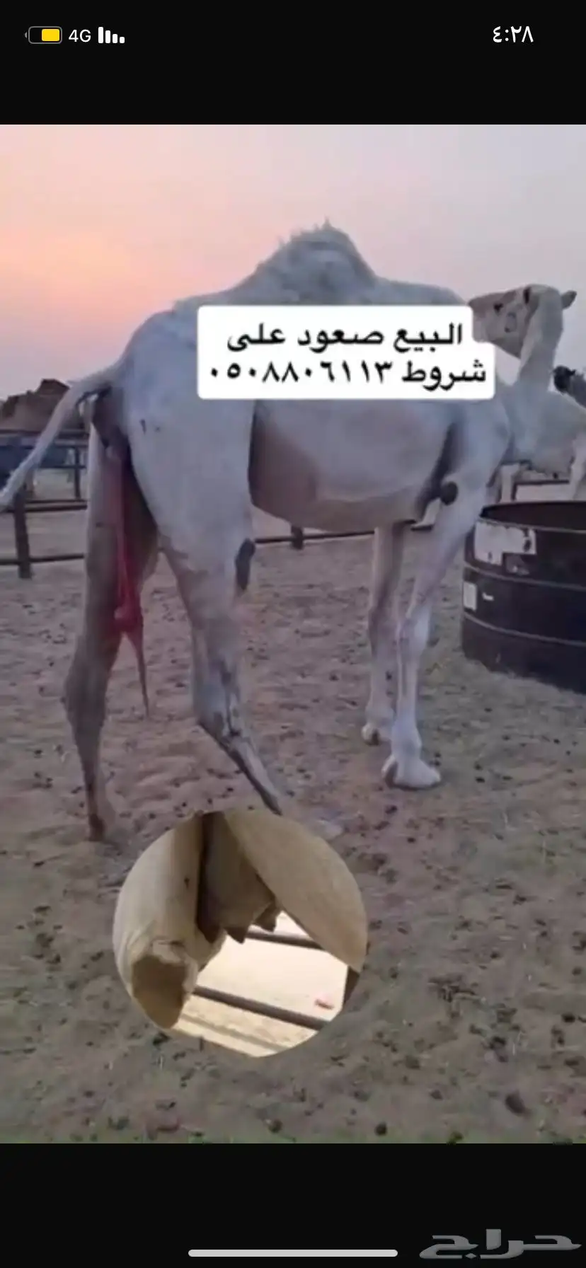 البيع صعود 0