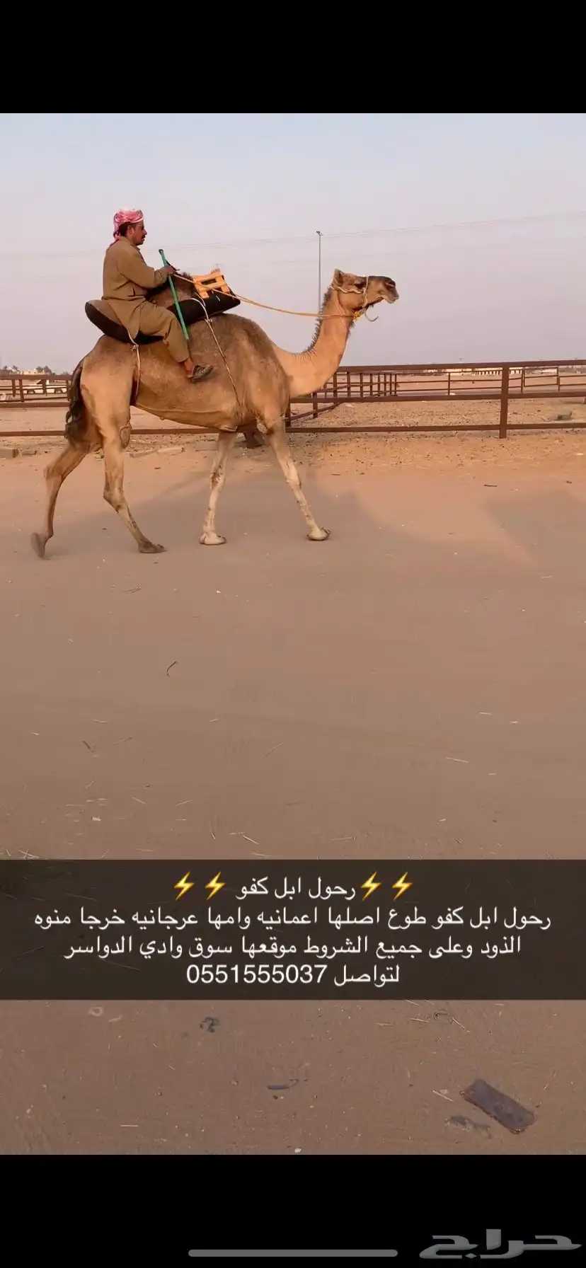 رحول كفو 0