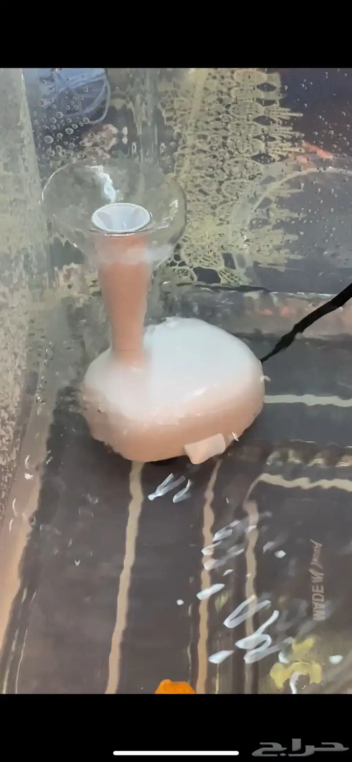 مستلزمات حوض سمك   سلاحف 1
