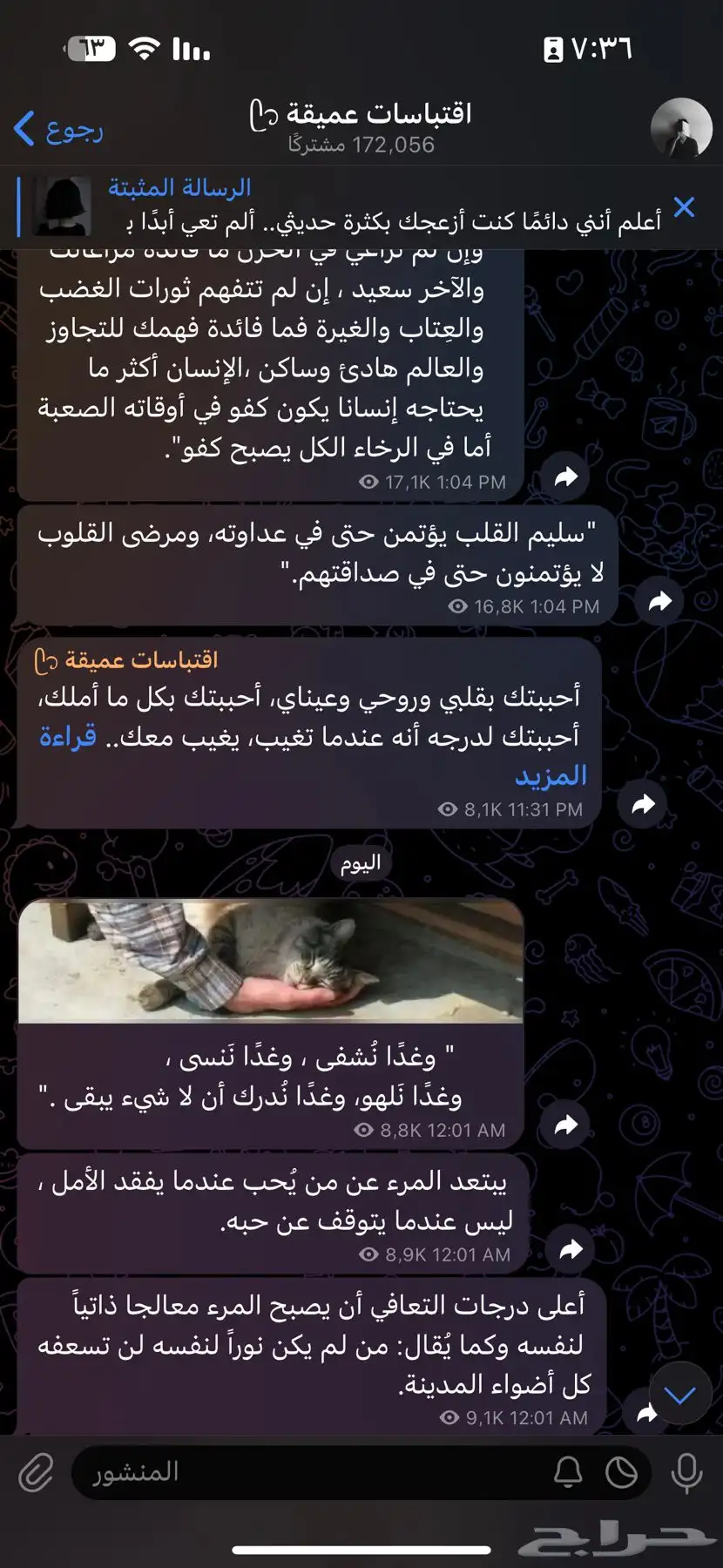قناة تلجرام 172 الف 1