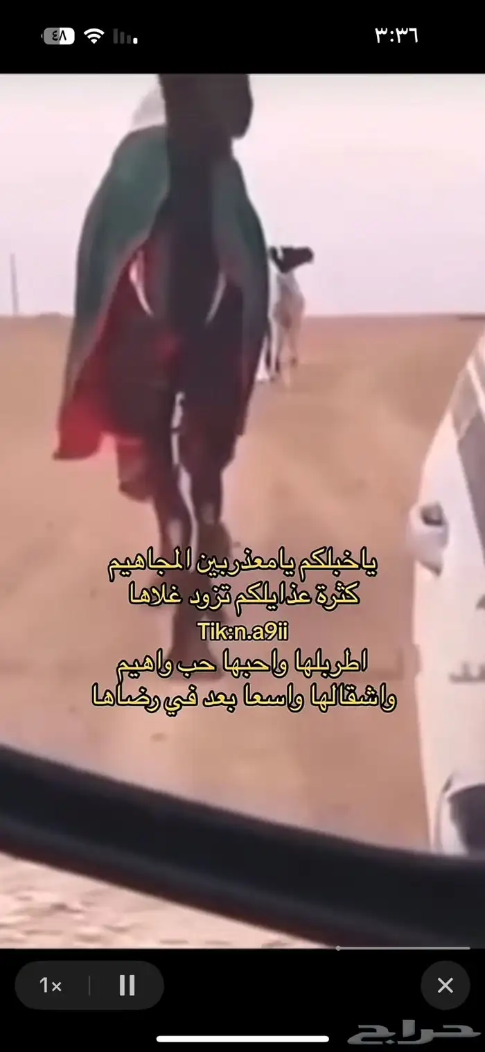 مزرعه للبيع الموقع تبراك المساحة 10الف 25
