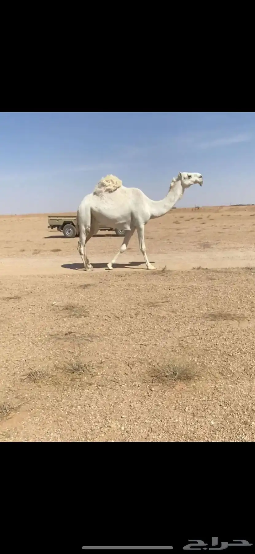 رباع خفوت 0