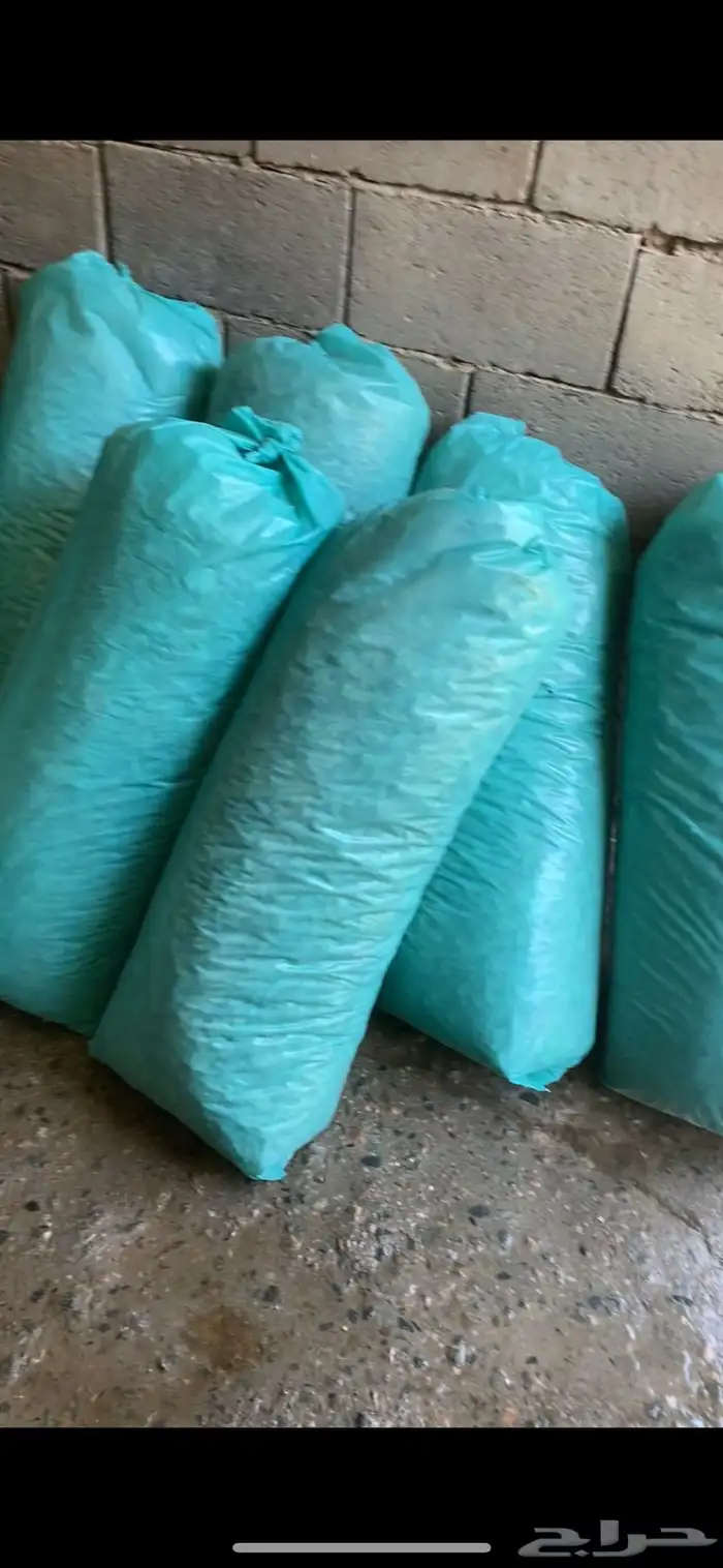 نشاره خيل معقمه 1