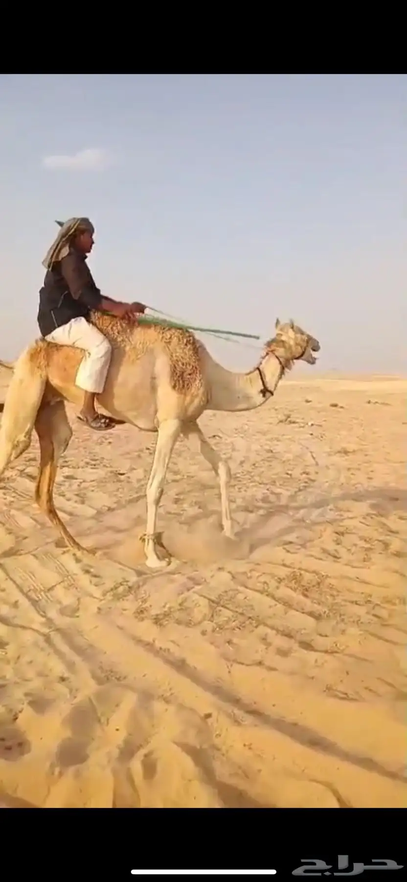 رحول عمانيه طيبه 1