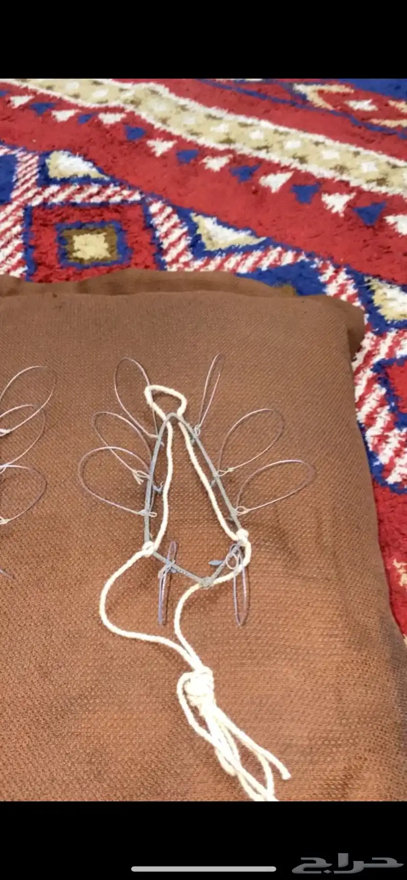 شبك صقور للبيع 2