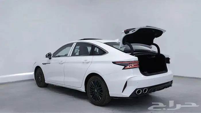 شيري اريزو 8 2025 3