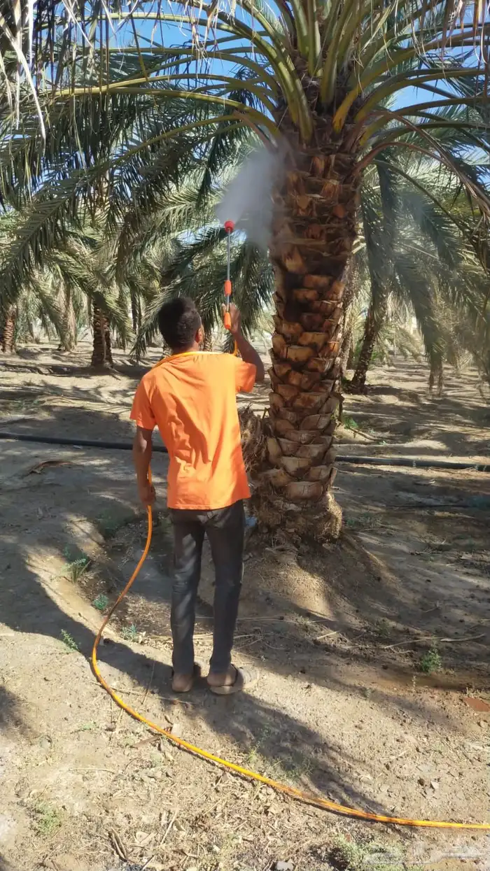 تنسيق حدائق وعمل شلالات 14