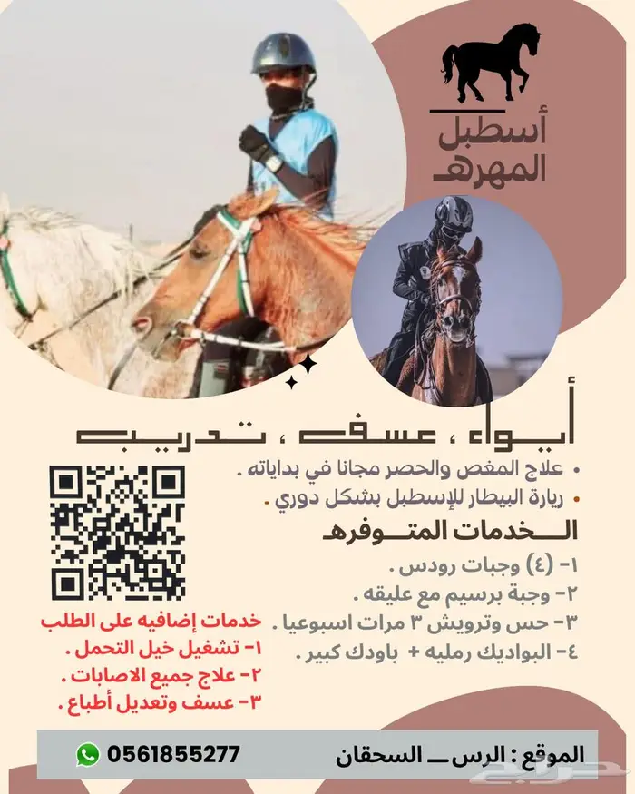 ايواء وتدريب خيل 0