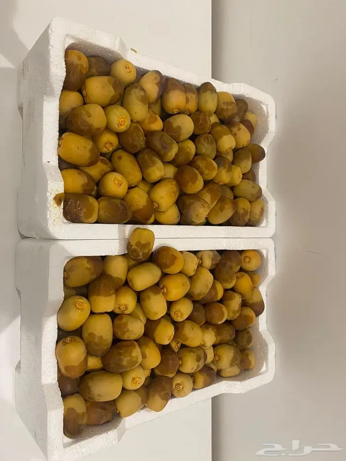روثانة 0