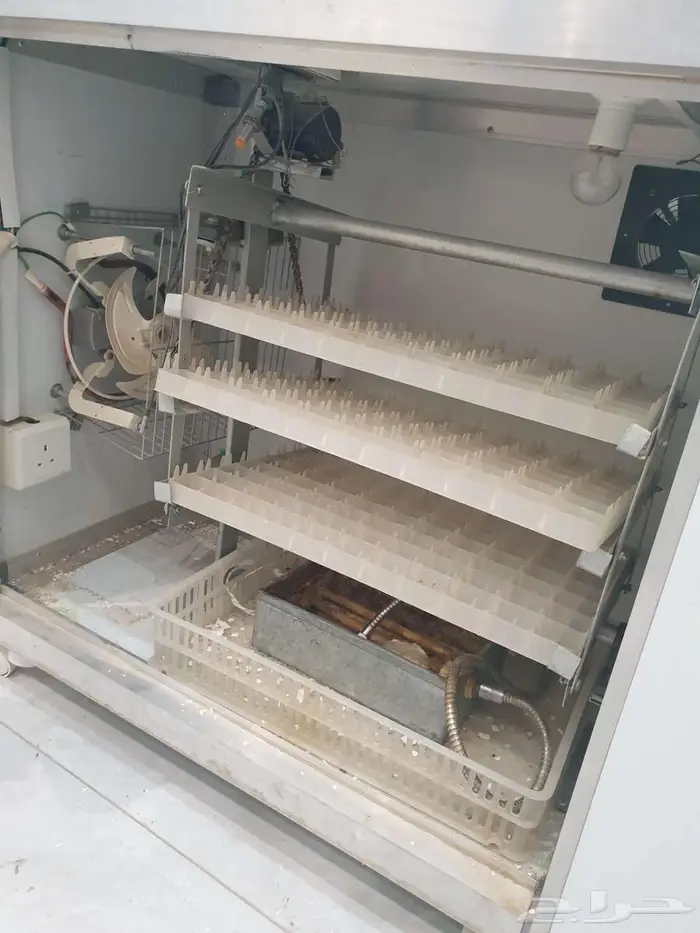 فقاسة بيض تماتيك تم البيع بالكامل 2