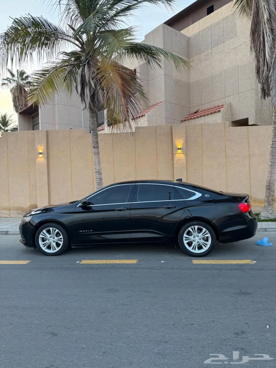 امبالا 2015 بودي بلد 0