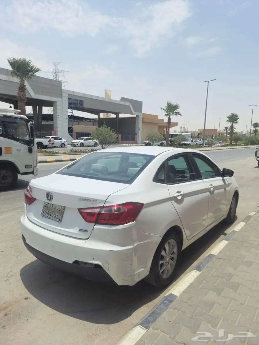 شانجان السفن 2018 الرياض 5