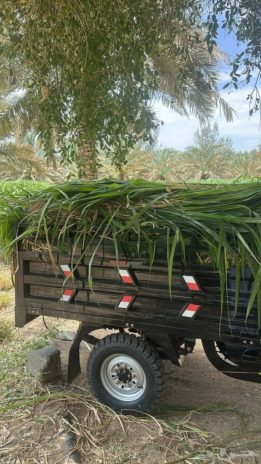 دباب 3 كفرات دباب مزرعه مزارع 4