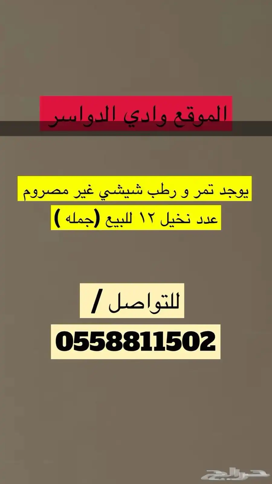 تمر شيشي كرتون 3 كيلو 0