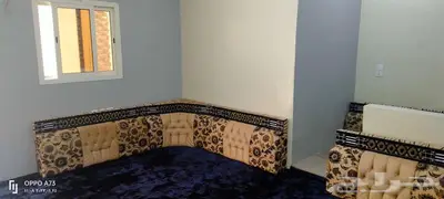 جلسات شباب او عوائل و غرفة موظفين و مزرعة بالأحساء 13