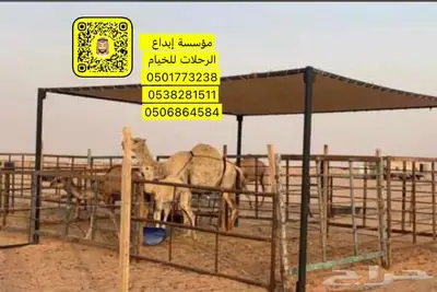 مضلات ابل مضلات ابل مضلة أبل مضلة بل 7