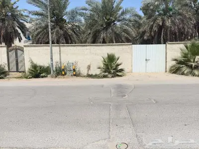 جلسات شباب او عوائل و غرفة موظفين و مزرعة بالأحساء 0