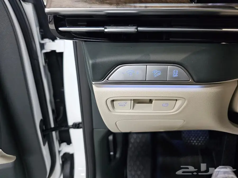 GV80 (بنزين) 2024 16