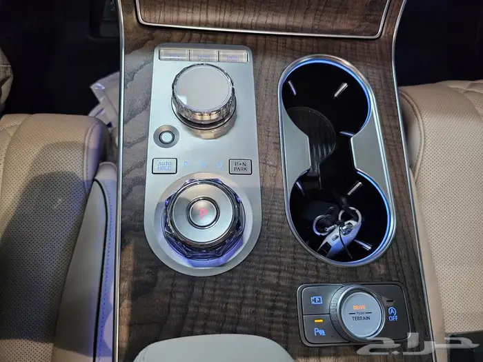 GV80 (بنزين) 2024 21
