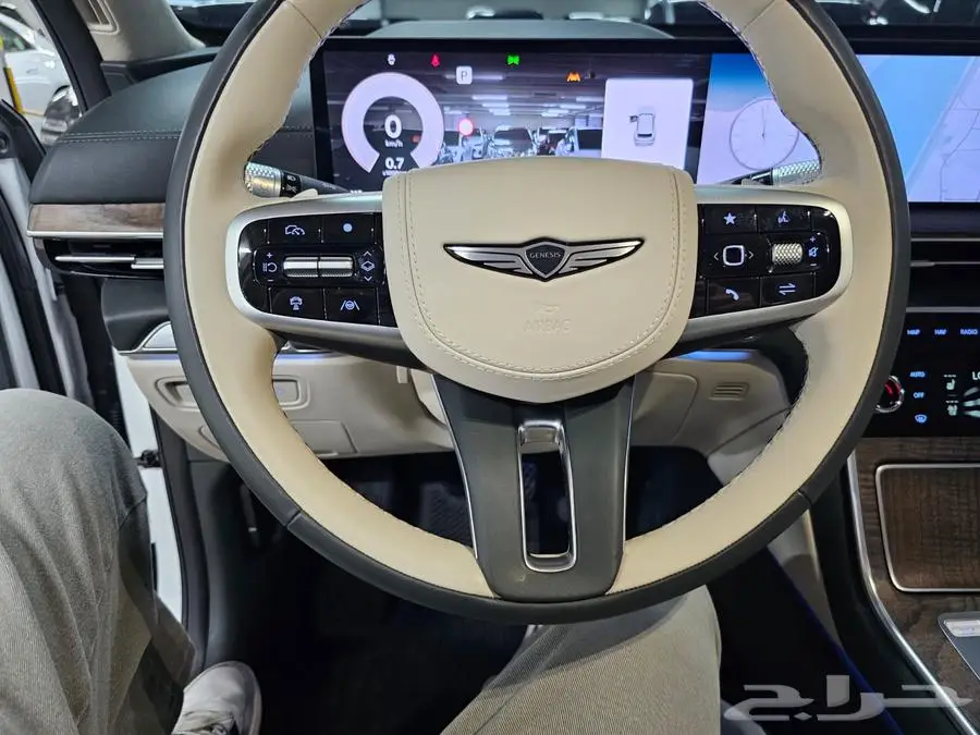 GV80 (بنزين) 2024 14