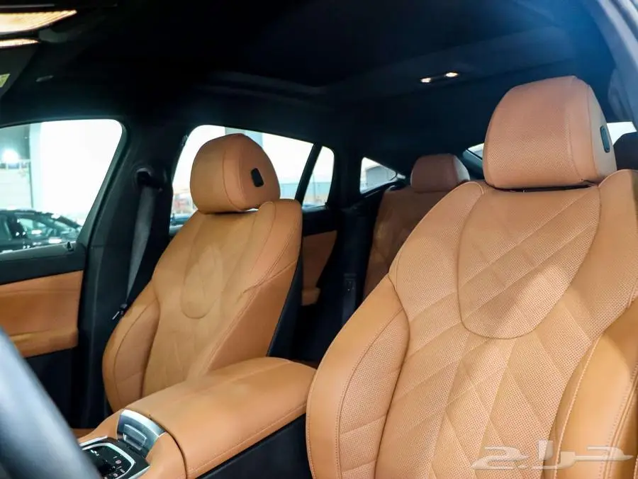 بي ام دبليو BMW X6 (XDRIVE40I ) 2025 X6 19
