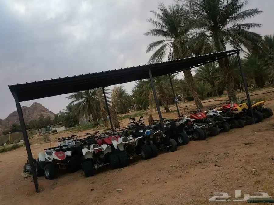 دبابات 1