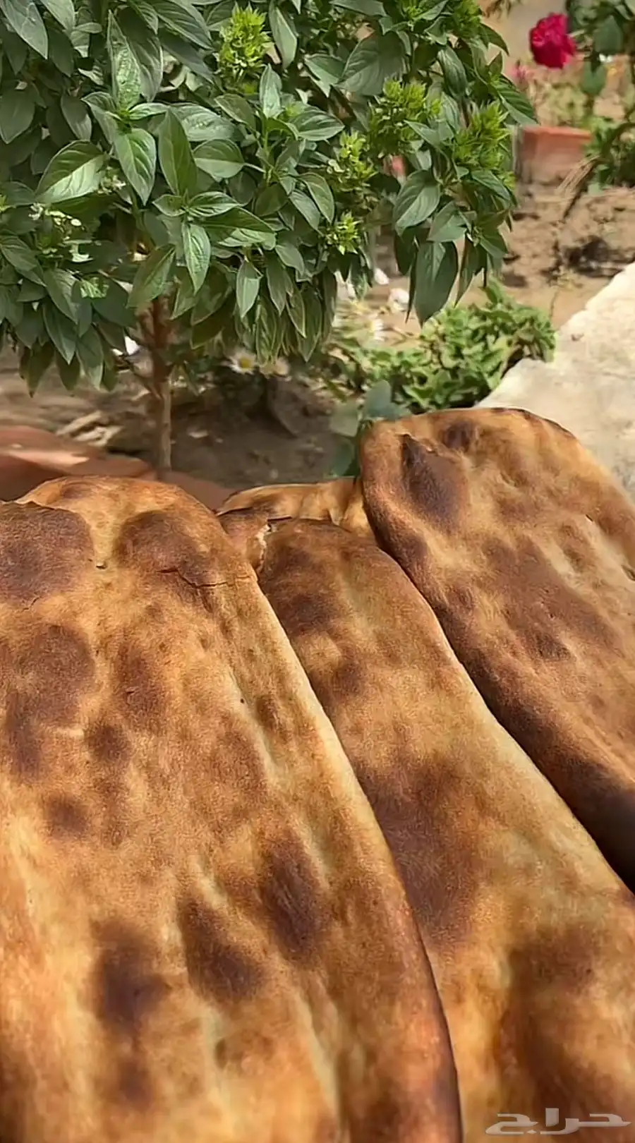 اكلات شعبيه 2