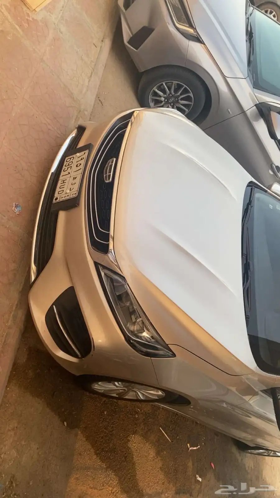 جيلي بنراي 2020 0