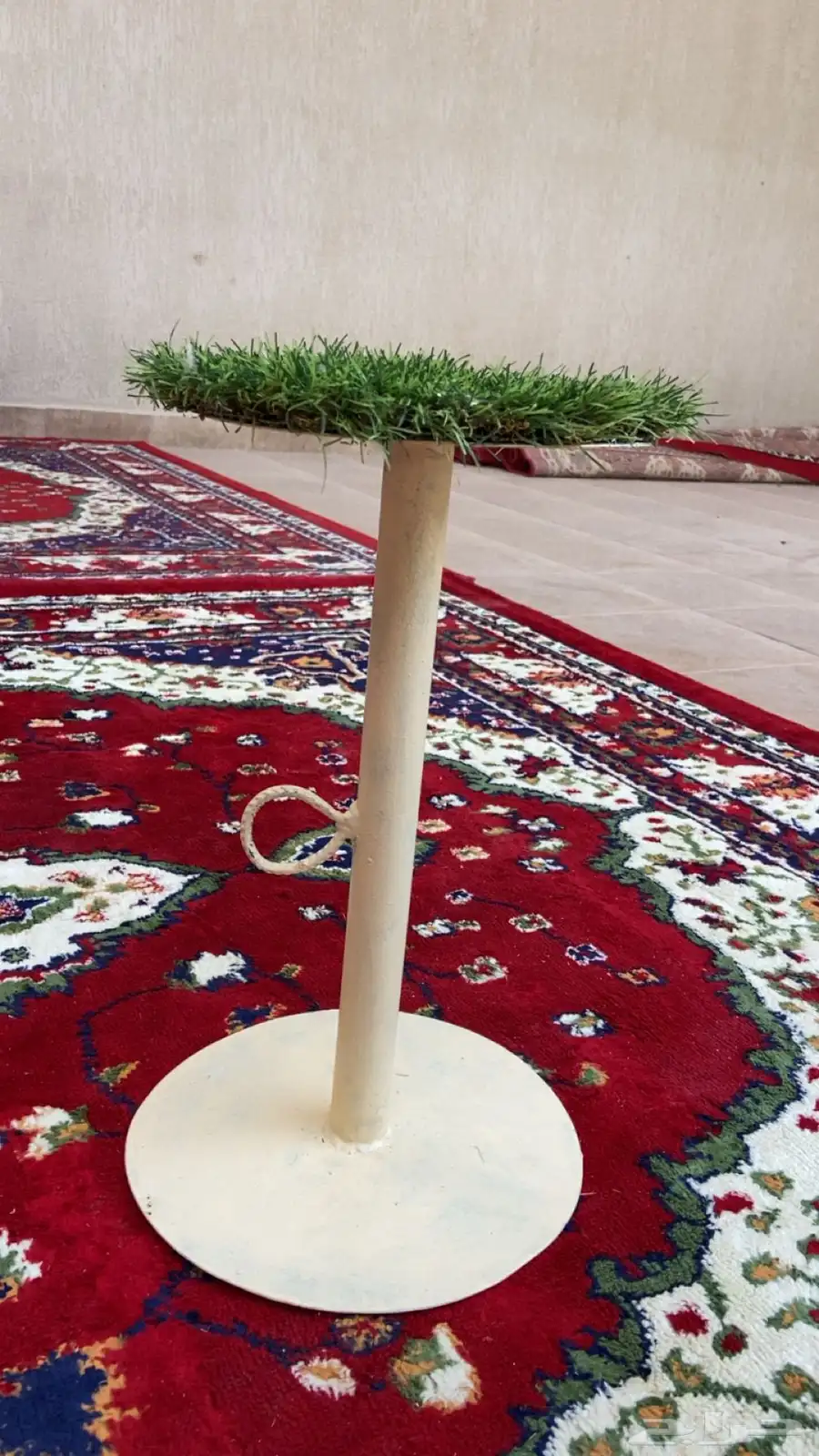 ادوات طيور للبيع عاجل 1