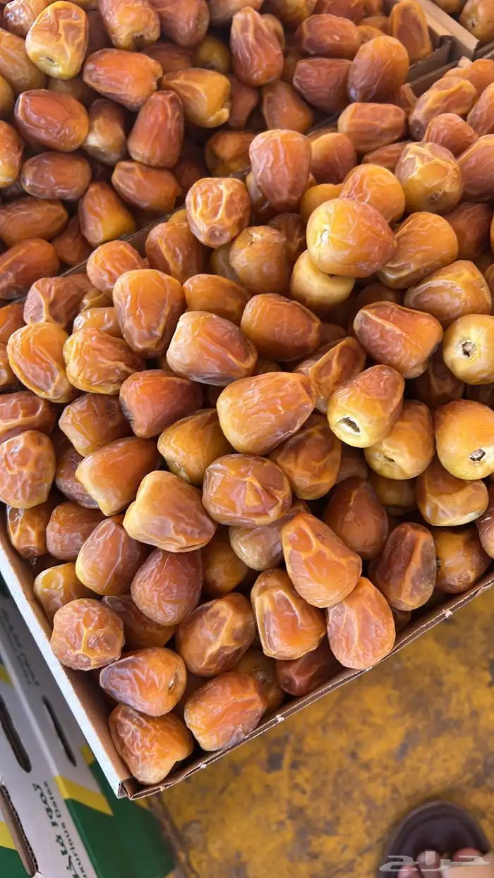يوجد لدينا تمور بانواعها 0