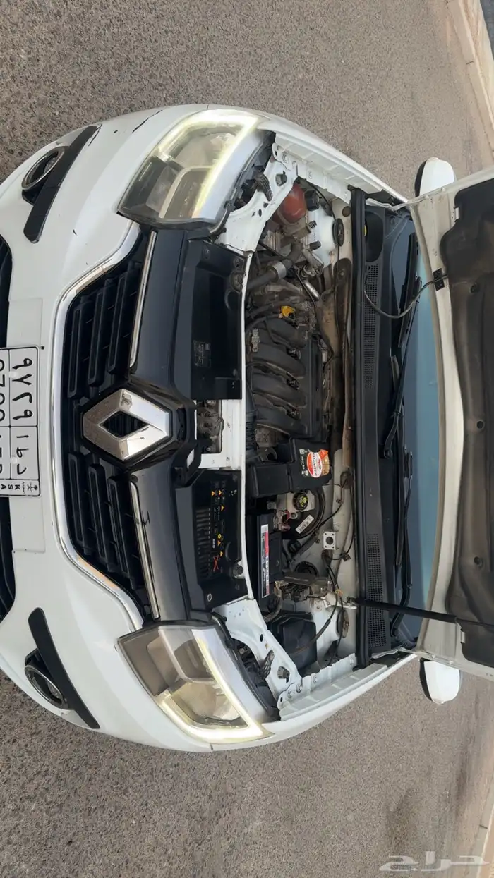 رينو 2019 المالك الاول 8