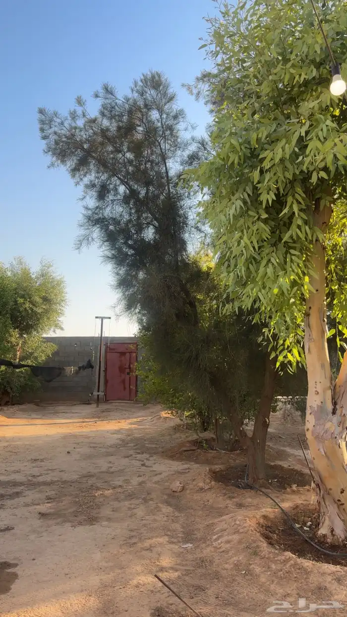 مزرعة للايجار في قرية زبالا 3