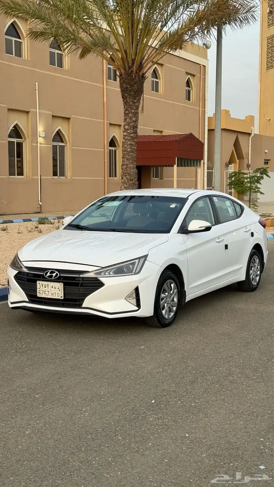 النترا 2019 8