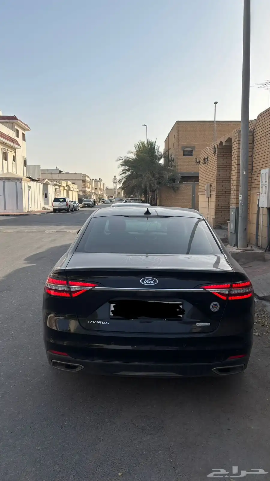 تورس 2022 4