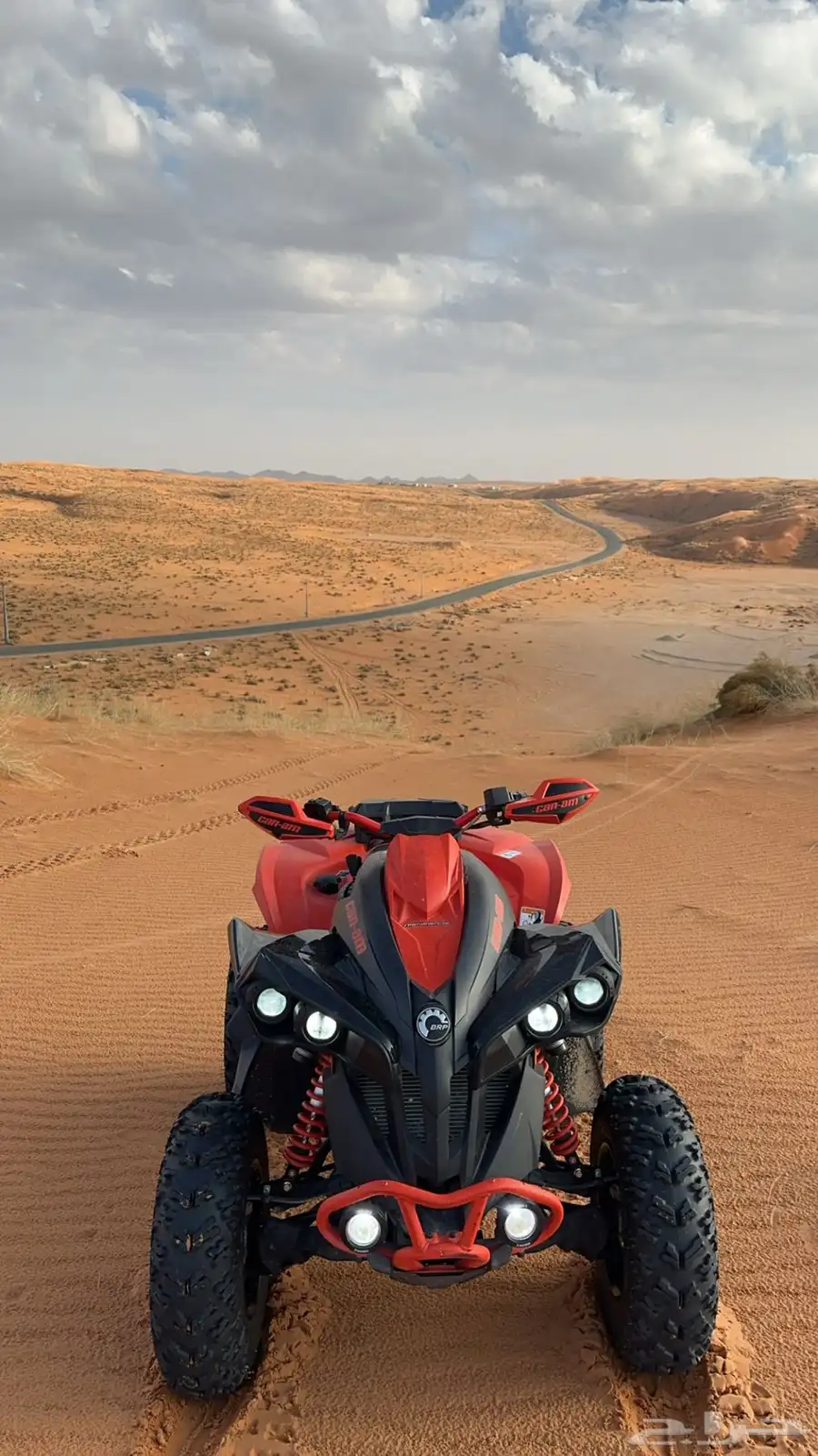 كانام رينيقيد 2021 0