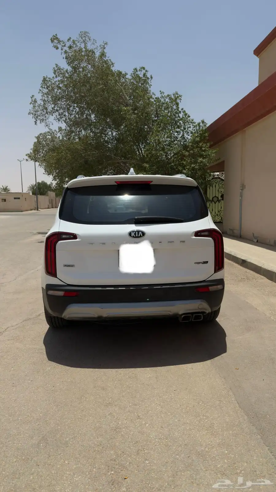 كيا تيلورايد 2021 فئة sx-p 9