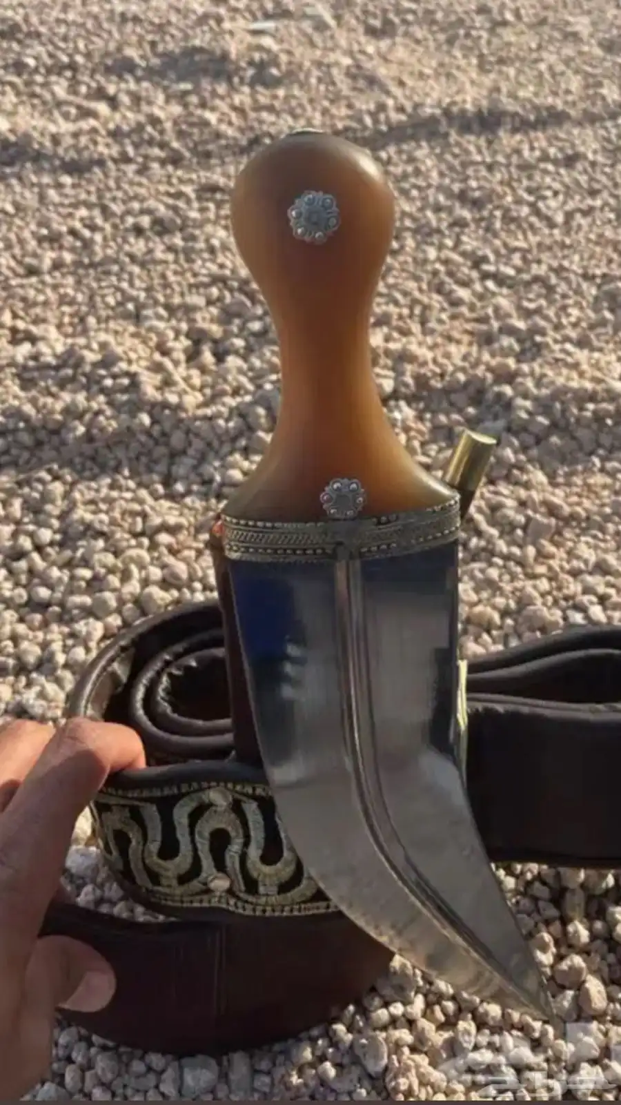 جنبيه شبه الزراف كفو 3
