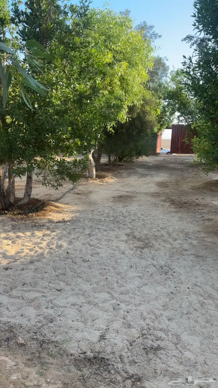 للإيجار مزرعه يومي اسبوعي في قرية زبالا 0