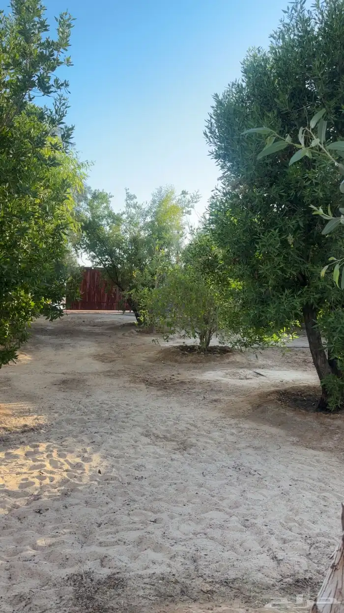 مزرعة للإيجار اسبوعي يومي في قرية زبالا 2